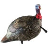 Avian-X Turkey Decoy LCD Jake Quarter Strut AVX8003 -Hunting Equipment Store AvianX 08003 Avian X Turkey Decoy LCD Jake Quarter Strut AVX8003