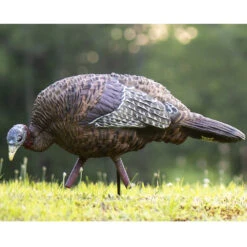 Avian-X Turkey Decoy LCD Feeder Hen AVX8007 -Hunting Equipment Store AvianX 08007 Avian X Turkey Decoy LCD Feeder Hen AVX8007 Pic