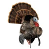 Avian-X Turkey Decoy HDR Strutter Tom AVX8108 -Hunting Equipment Store AvianX 08108 Avian X Turkey Decoy HDR Strutter AVX8108