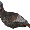Flextone Thunder Jake Turkey Decoy FLXDY317 -Hunting Equipment Store Flextone 00982 Flextone Thunder Jake Turkey Decoy FLXDY317
