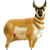 Montana Decoy Company Antelope Buck 38″x30″ -Hunting Equipment Store Montana 00003 Antelope Buck Decoy 1