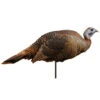 Montana Decoy Company Turkey Spring Fling Hen 2d Decoy -Hunting Equipment Store Montana 00042 Spring Fling Hen 1