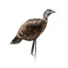 Montana Decoy Company Turkey Miss Purrfect XD Hen 0084 -Hunting Equipment Store Montana 00084 Montana Decoy Miss Purrfect XD Turkey Hen 0084 Upright