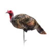 Montana Decoy Company Turkey Jake Purrfect XD 0085 -Hunting Equipment Store Montana 00085 Montana Decoy Jake Purrfect XD Turkey 0085 Upright