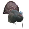 Primos Decoys Turkey B-Mobile Gobbler Tom Decoy 69041 2 Primos Decoys Turkey B-Mobile Gobbler Tom Decoy 69041 -Hunting Equipment Store Primos 69041 B Mobile Gobbler