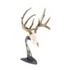 Skull Hooker Table Hooker Antler Mount Black TH-Assy-BLK -Hunting Equipment Store Skull 00206 Table Hooker Black